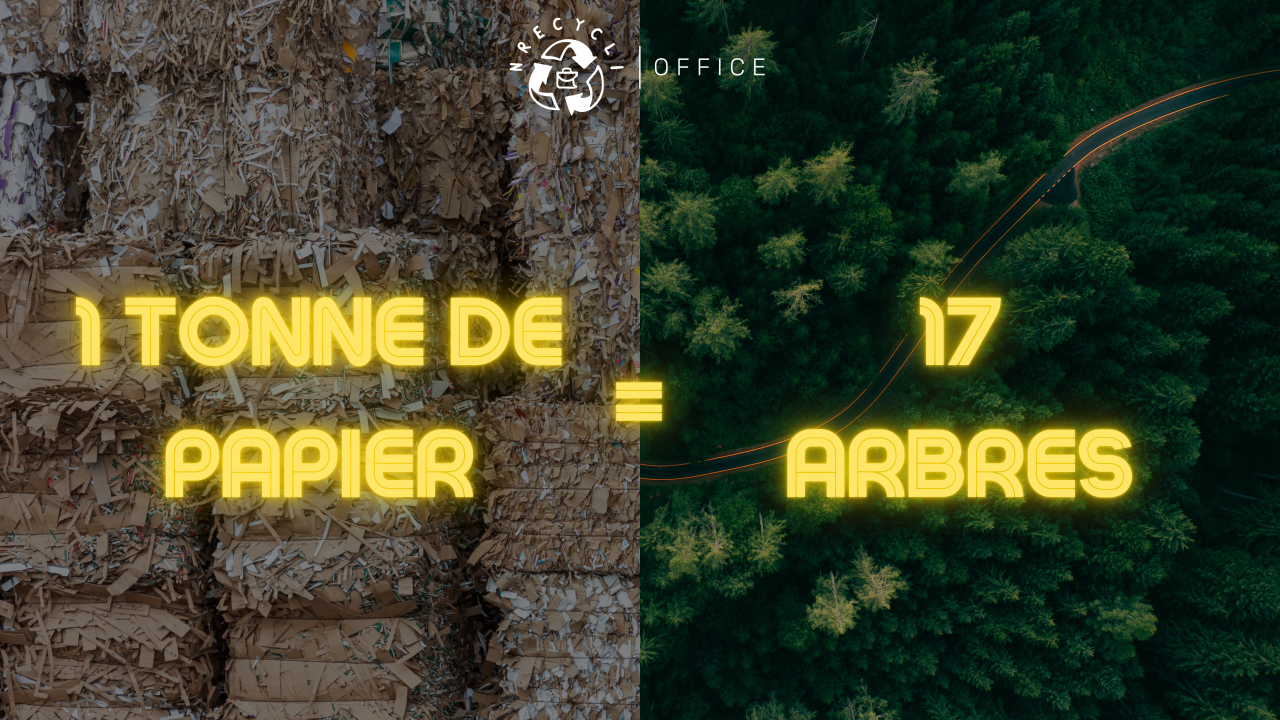 Discover how trees can transform our environment!