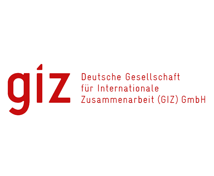 giz_logo.png